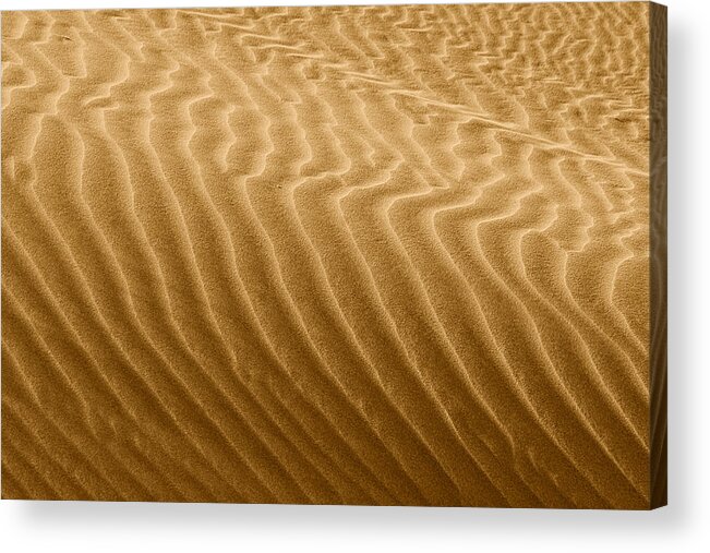 Sand Acrylic Print featuring the photograph Sand Dune Mojave Desert California by Alexandra Till