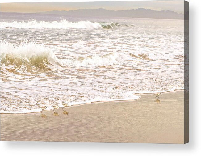 Sandelings Acrylic Print featuring the photograph Sandelings in Hermosa by Michael Hope