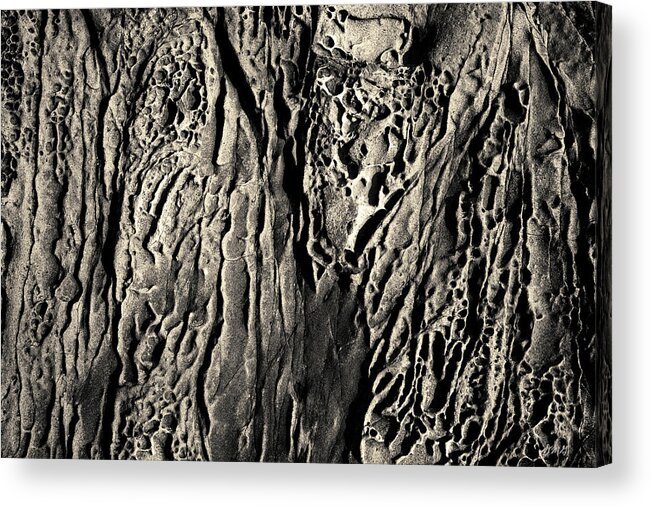 Sandstone Acrylic Print featuring the photograph Sandstone Erosion I Toned by David Gordon