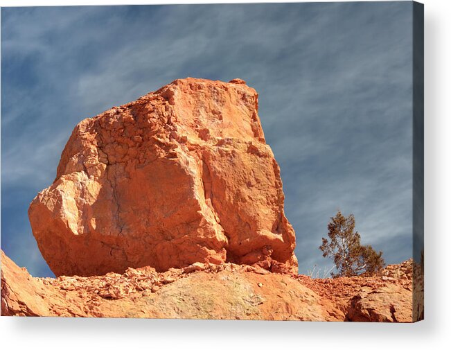 Zion National Park Acrylic Print featuring the photograph Sandy Rock in Morning Light by Paul Cannon