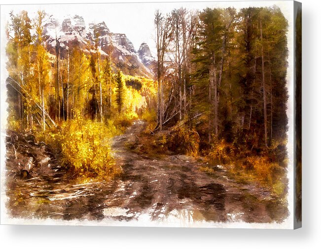 Road Acrylic Print featuring the photograph Sawmill Road by Fred Denner