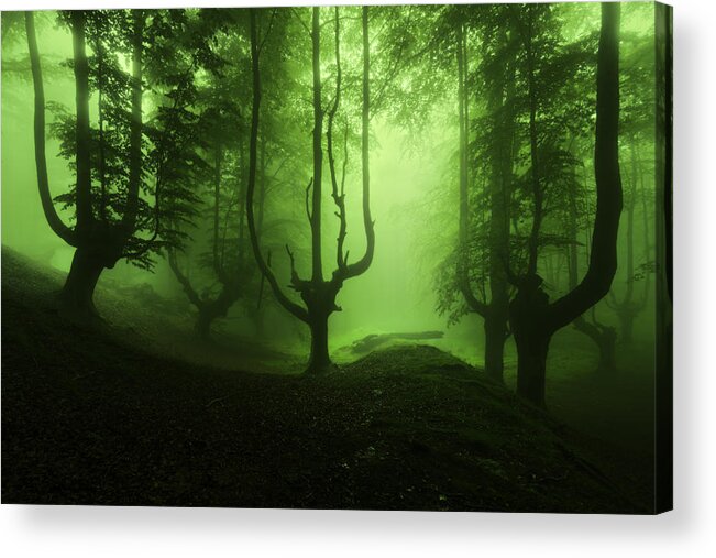 Horror Acrylic Print featuring the photograph The funeral of trees by Mikel Martinez de Osaba