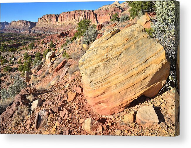 Capitol Reef National Park Acrylic Print featuring the photograph Scenic Drive Boulder View by Ray Mathis