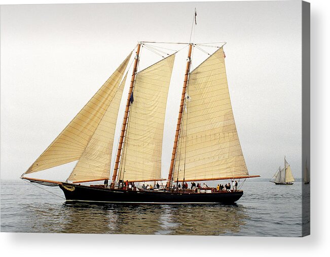 Windjammer Acrylic Print featuring the photograph Schooner America by Fred LeBlanc