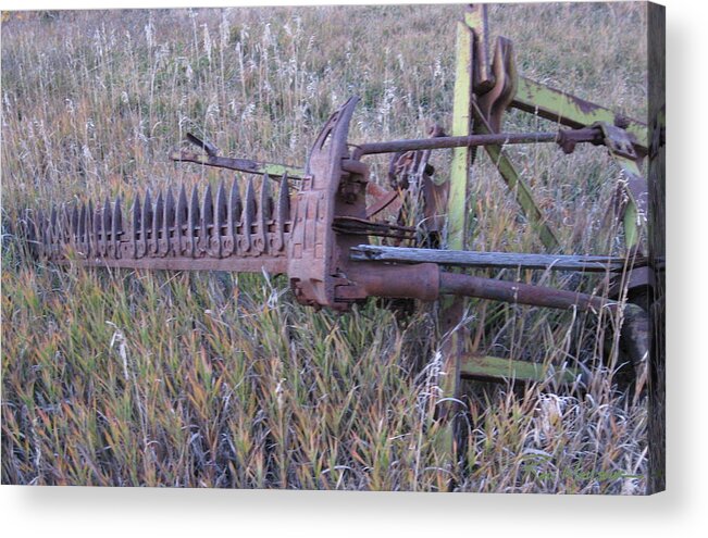 Southwest Acrylic Print featuring the photograph Scythe and Timothy by Ron Monsour