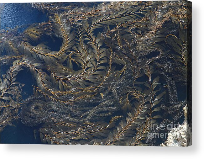 Ocean Acrylic Print featuring the photograph Sea Abstract by Edward R Wisell