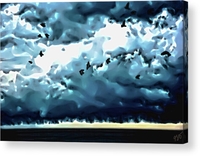 Sea Birds Acrylic Print featuring the photograph Sea Birds and Storm Clouds by Gina O'Brien