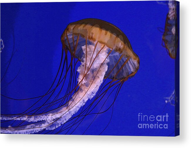 Jellyfish Acrylic Print featuring the photograph Sea Jelly by Jeanette French