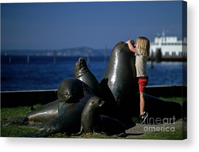 Ferry Acrylic Print featuring the photograph Sea Lion Sculpture by Jim Corwin