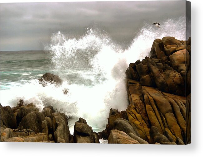 Barbara Snyder Acrylic Print featuring the photograph Seagull Get A Shower on 17 Mile Drive Painting by Barbara Snyder