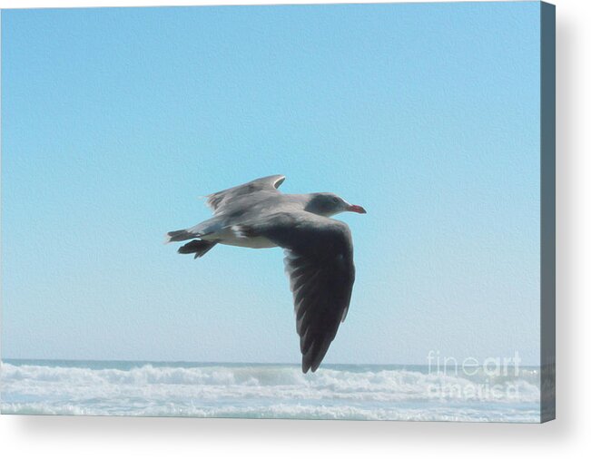 Seagull Acrylic Print featuring the digital art Seagull by Leah McPhail