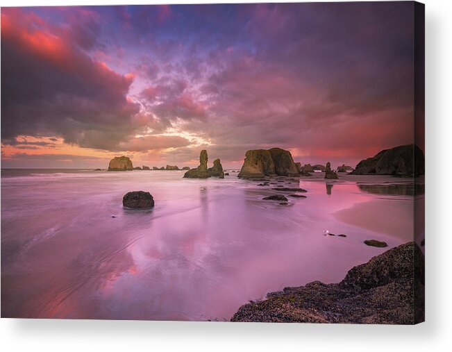 Oregon Acrylic Print featuring the photograph Seagull, seastacks and colorful clouds by William Lee