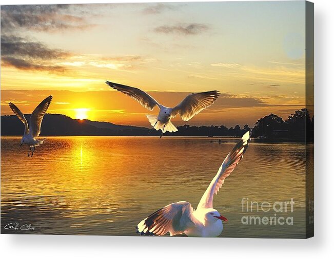 Golden Acrylic Print featuring the photograph Seagulls at Sunrise... Exclusive Original stock Photo Art by Geoff Childs