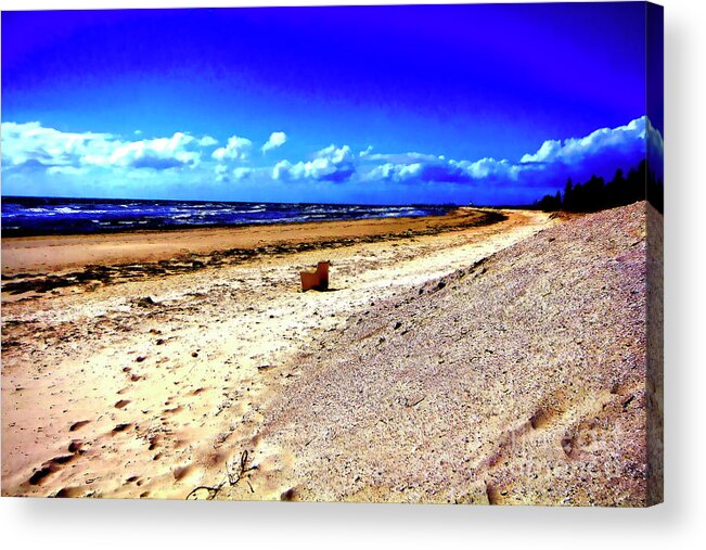 Seat Acrylic Print featuring the photograph Seat For One by Douglas Barnard