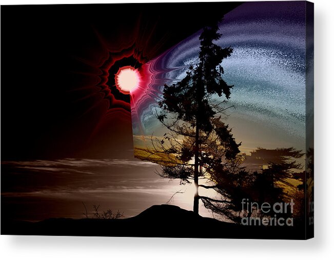 Tree Acrylic Print featuring the photograph Sechelt Tree Stardust by Elaine Hunter
