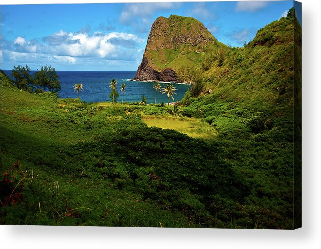 Ocean Acrylic Print featuring the photograph Secret Cove by Harry Spitz