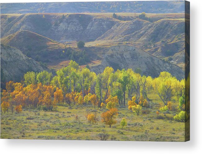 North Dakota Acrylic Print featuring the photograph September near the River by Cris Fulton
