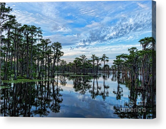 Landscapes Acrylic Print featuring the photograph Serenity by DB Hayes