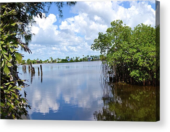 Mangroves Acrylic Print featuring the photograph Serenity in Matlacha Florida by Timothy Lowry