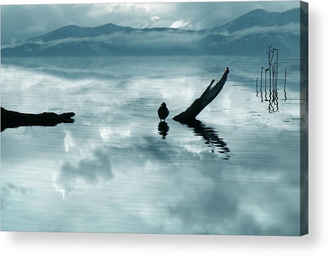 Serene Acrylic Print featuring the photograph Serenity by John Poon