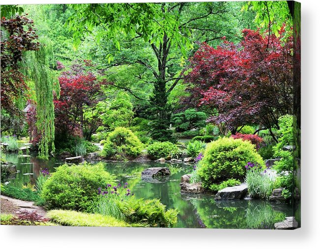 Trees Acrylic Print featuring the photograph Serenity Now by Mary Ann Artz