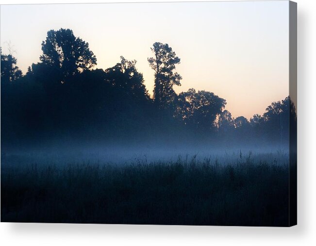 Nature Acrylic Print featuring the photograph Served With A Cup of Coffee by John Glass