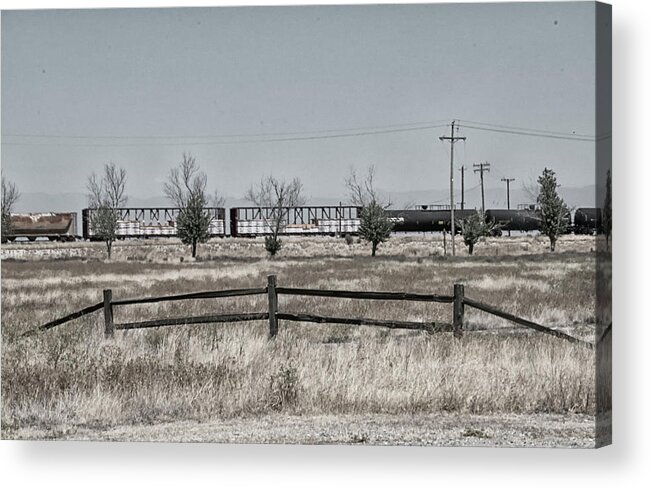 Desert Acrylic Print featuring the photograph Seven Trees and a train by Jessica Levant