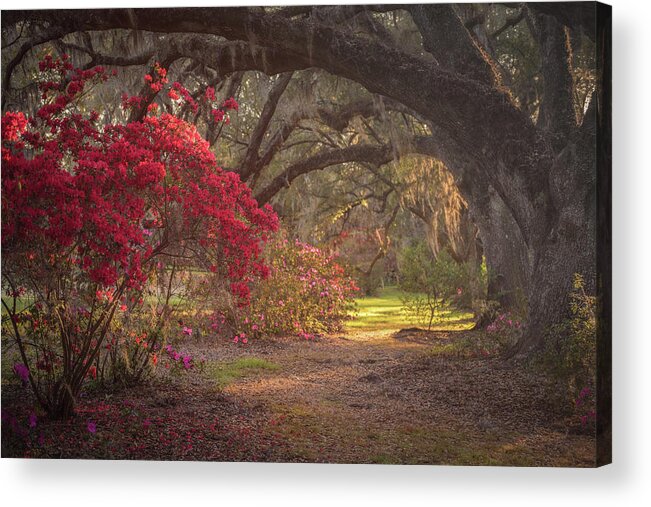 Lowcountry Springtime Acrylic Print featuring the photograph Seventy-Three Degrees and Sunny by Kim Carpentier