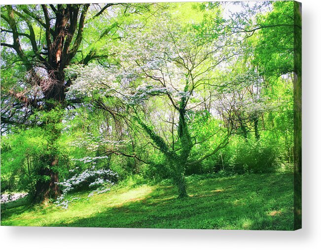 Rosslyn Acrylic Print featuring the photograph Shades Of Spring by Iryna Goodall