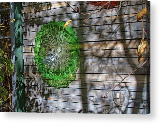 Esoteric Acrylic Print featuring the photograph Shadow Art by Alana Thrower