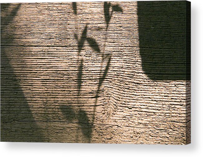  Acrylic Print featuring the photograph Shadow by Clayton Bruster