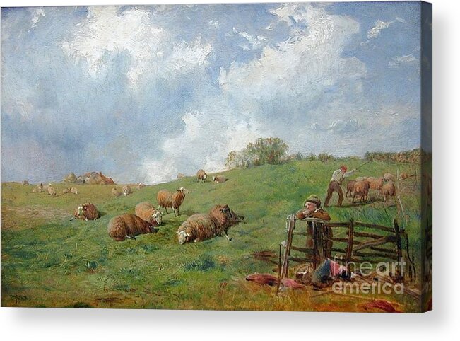 James John Hill - Sheep On A Hillside Acrylic Print featuring the painting Sheep on a Hillside by MotionAge Designs