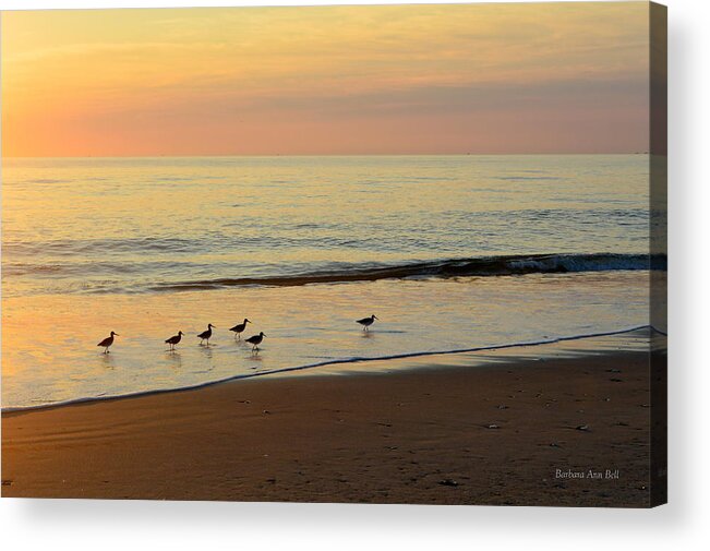 Obx Sunrise Acrylic Print featuring the photograph Shorebirds 9/4/17 by Barbara Ann Bell