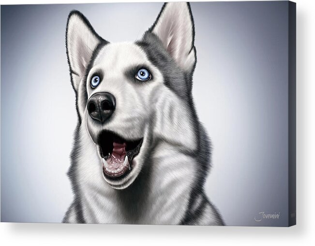 Dog-sled Acrylic Print featuring the painting Siberian Husky Drawing by Jovemini J