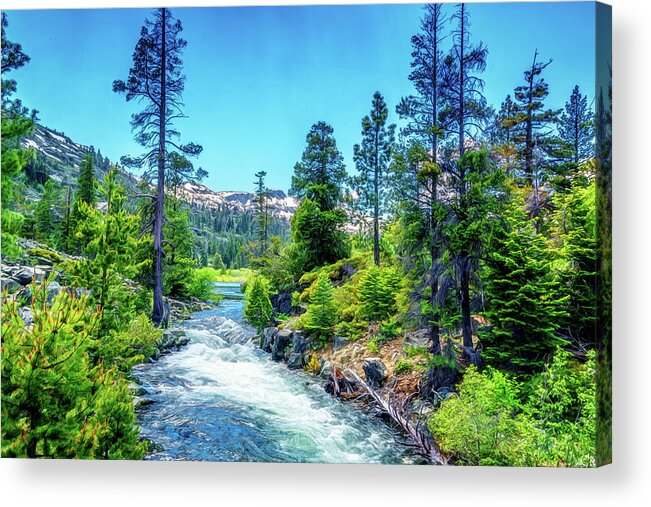 Creek Acrylic Print featuring the photograph Sierra Nevada Creek by Maria Coulson