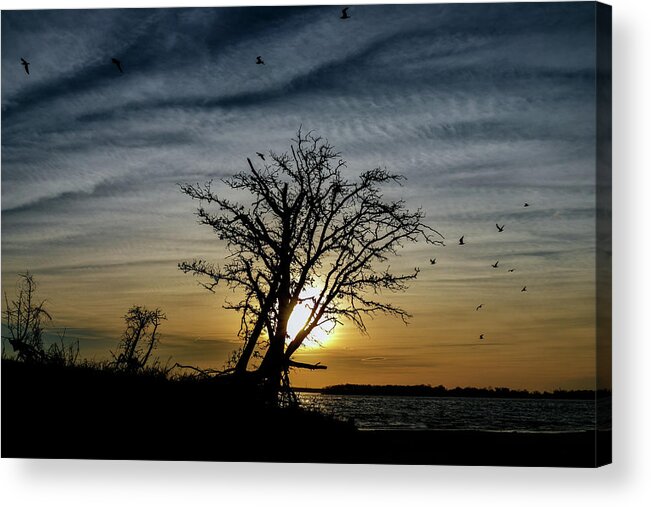 Horizontal Acrylic Print featuring the photograph Silhouette Sunset by Doug Long