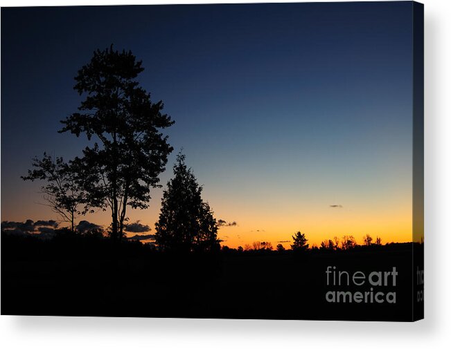 Nature Acrylic Print featuring the photograph Silhouettes by Joe Ng