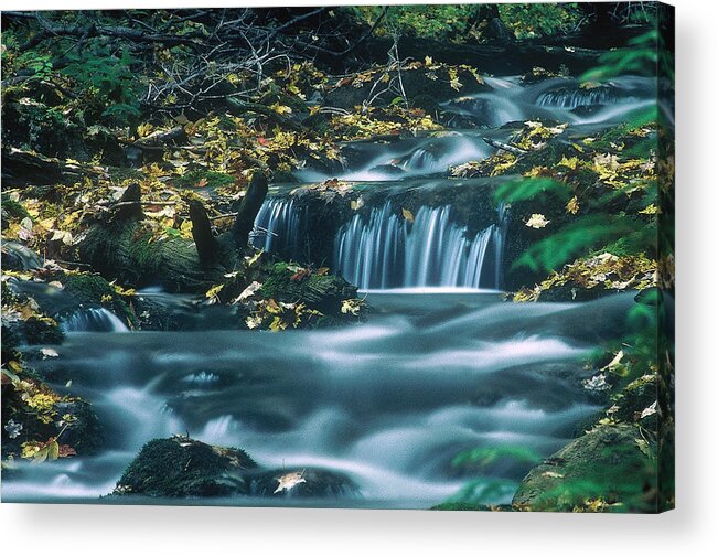 Creek Acrylic Print featuring the photograph Silver Creek by DArcy Evans
