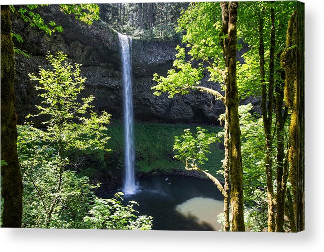 Sam Amato Photography Acrylic Print featuring the photograph Silver Falls Oregon by Sam Amato