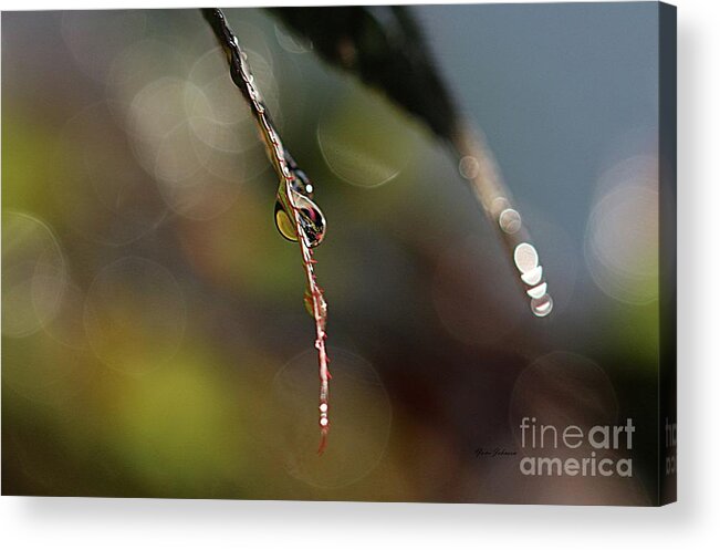 Droplets Acrylic Print featuring the photograph Simple droplet by Yumi Johnson