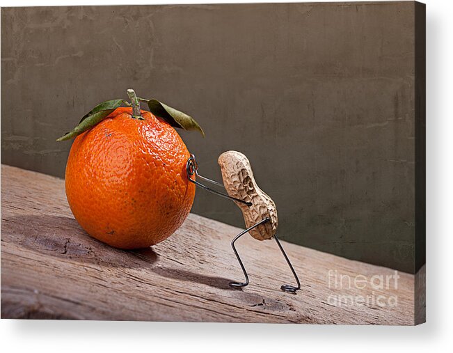 Peanut Acrylic Print featuring the photograph Simple Things - Sisyphos 01 by Nailia Schwarz