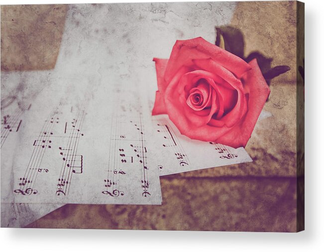 Rose Acrylic Print featuring the photograph Sing Me A Love Song by Elvira Pinkhas