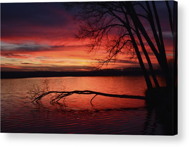 Sunset Acrylic Print featuring the photograph Sky and Water by Forest Floor Photography