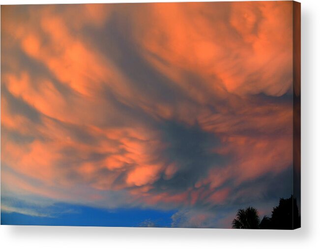 Sky Acrylic Print featuring the photograph Great Sky by David Lee Thompson