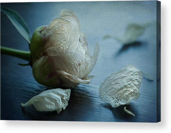 Still Acrylic Print featuring the photograph Slipped Away by Maggie Terlecki