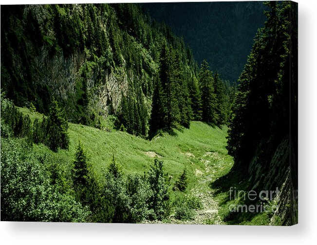 Michelle Meenawong Acrylic Print featuring the photograph Slope Downwards by Michelle Meenawong