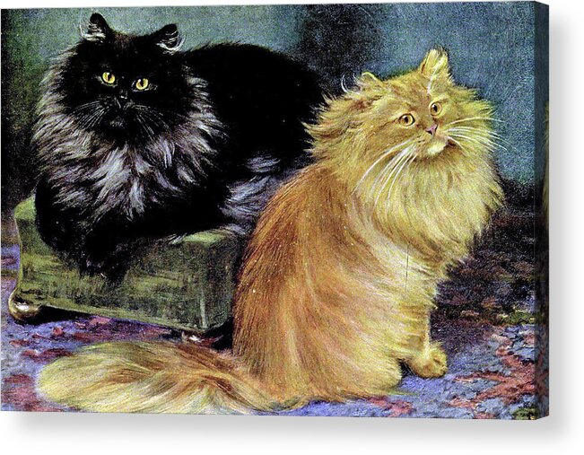 Cats Acrylic Print featuring the painting Smoke and Orange Persians by W Luker Junior
