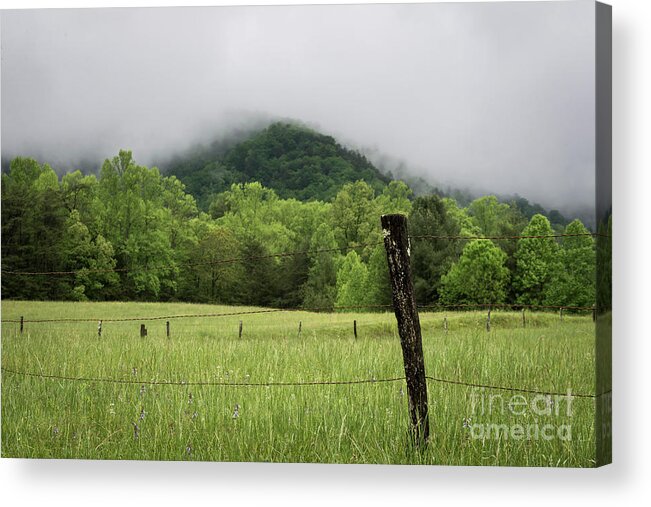 Cades Cove Acrylic Print featuring the photograph Smoky Mountains by Andrea Silies
