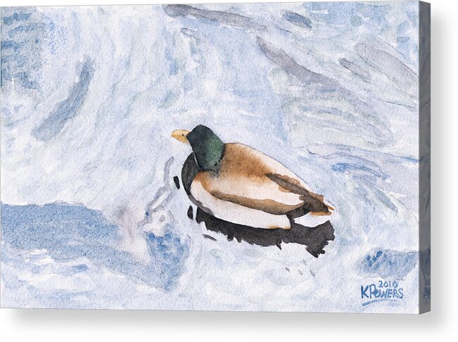 Watercolor Acrylic Print featuring the painting Snake Lake Duck Sketch by Ken Powers