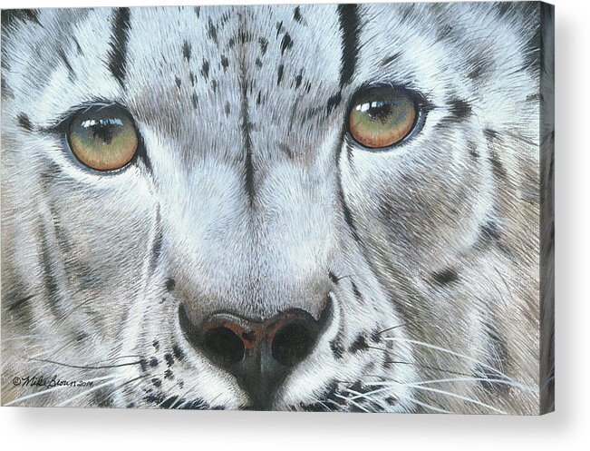 Snow Leopard Acrylic Print featuring the painting Snow Leopard by Mike Brown